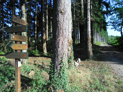 chemin de randonnée en Roannais