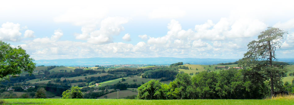paysage